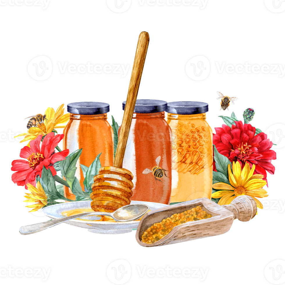 Different honey products, Zinna and Heliopsis flowers and bees around in watercolor technique png