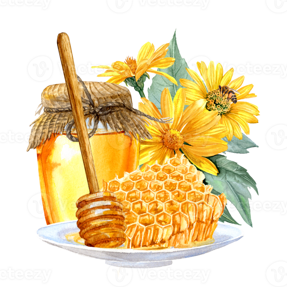 A glass jar of honey, honeycombs and yellow Heliopsis flowers hand-painted in watercolor png