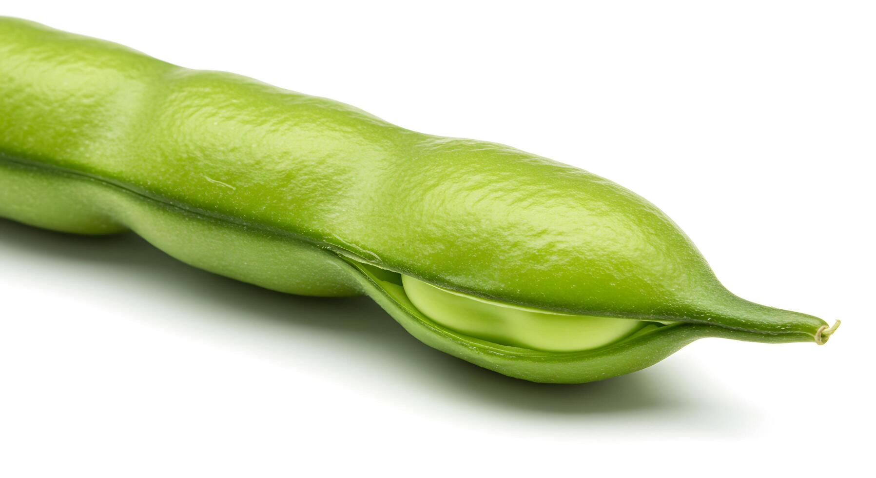 Fresh Broad Bean Pod CloseUp Studio Shot photo