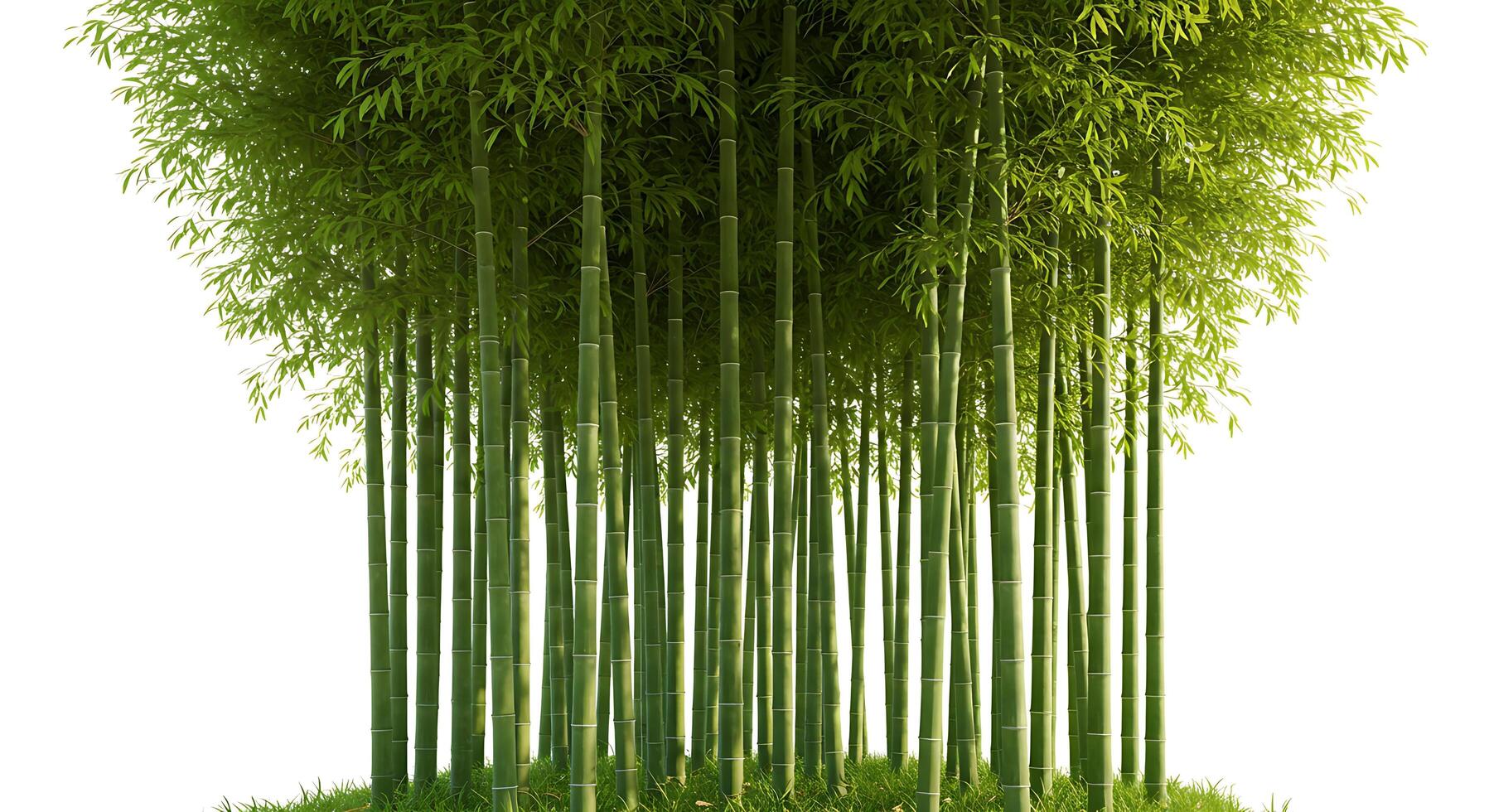 Lush 3D Render of a Bamboo Grove on a Sunny Day photo
