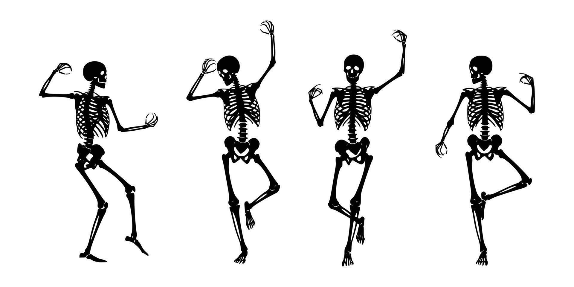 Silhouette of a Dancing Skeleton set black and white Illustration vector