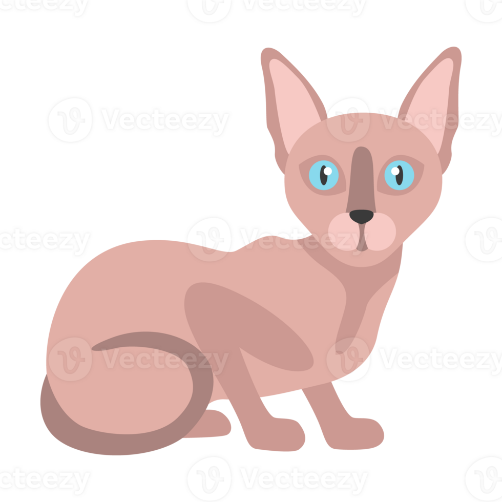 Sphynx Cat Without Fur png