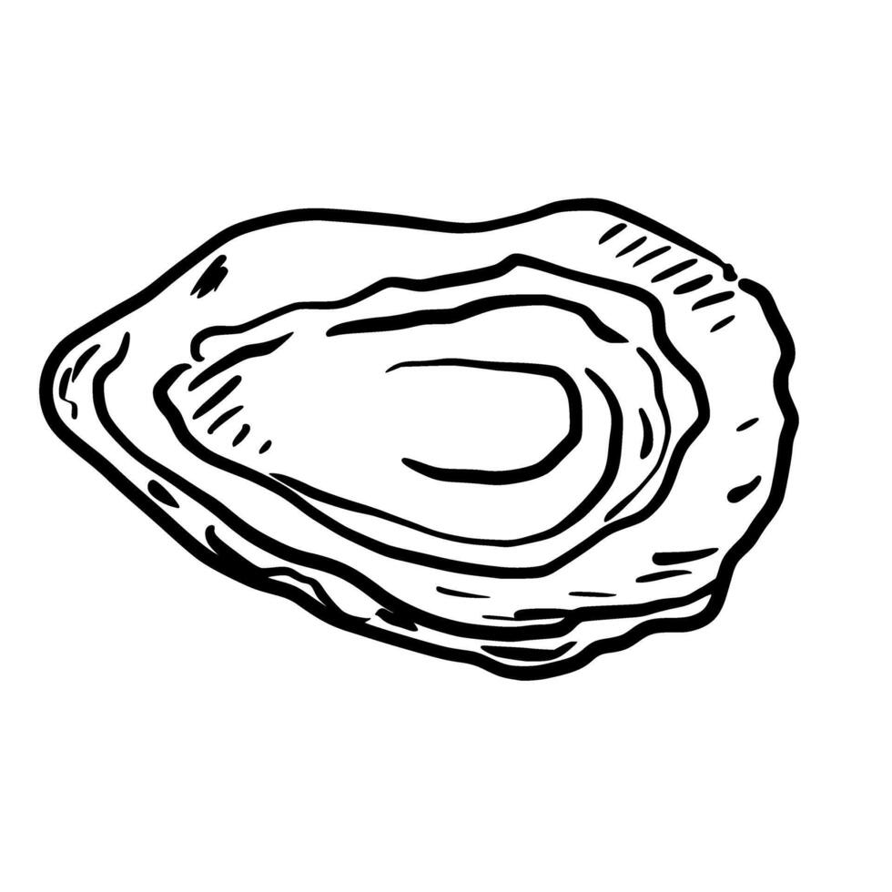 Oyster Hand drawn line art sketch doodle fisherman aesthetic coastal nautical illustration vector