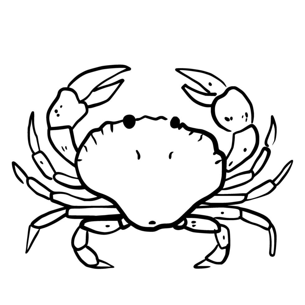 Crab Hand drawn line art sketch doodle fisherman aesthetic coastal nautical illustration vector