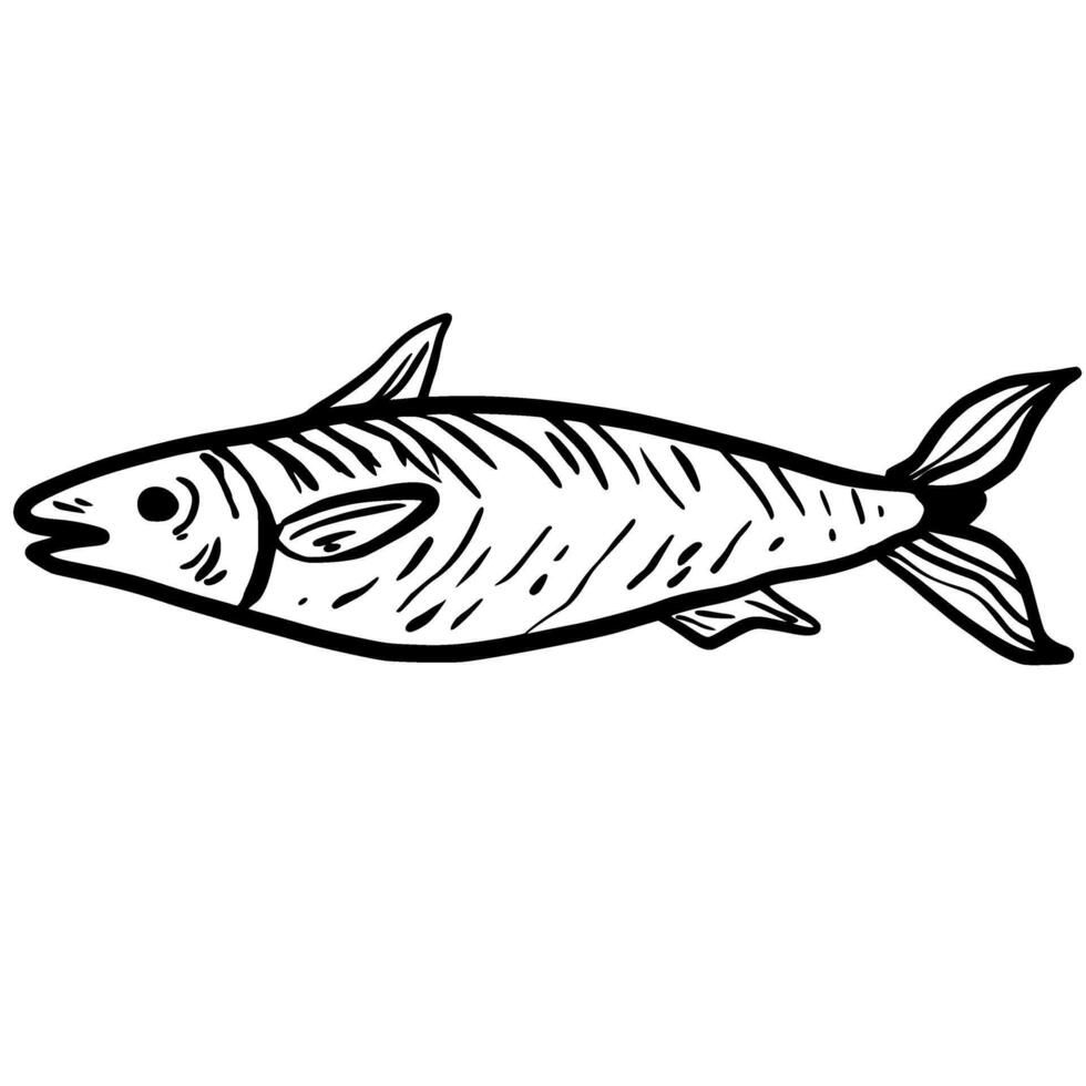 Tuna fish Hand drawn line art sketch doodle fisherman aesthetic coastal nautical illustration vector