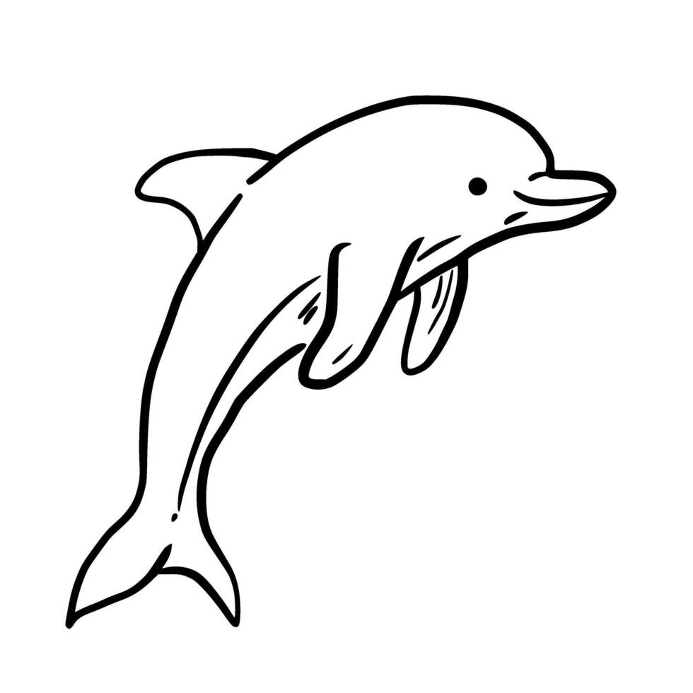 Dolphin Hand drawn line art sketch doodle fisherman aesthetic coastal nautical illustration vector