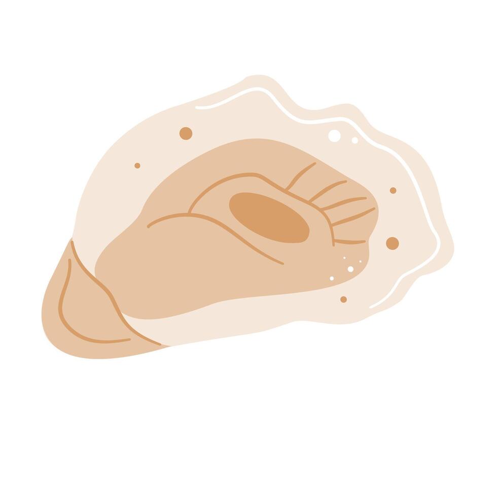 Simple illustration of a fresh oyster, perfect for seafood, gourmet food, and ocean themes. vector