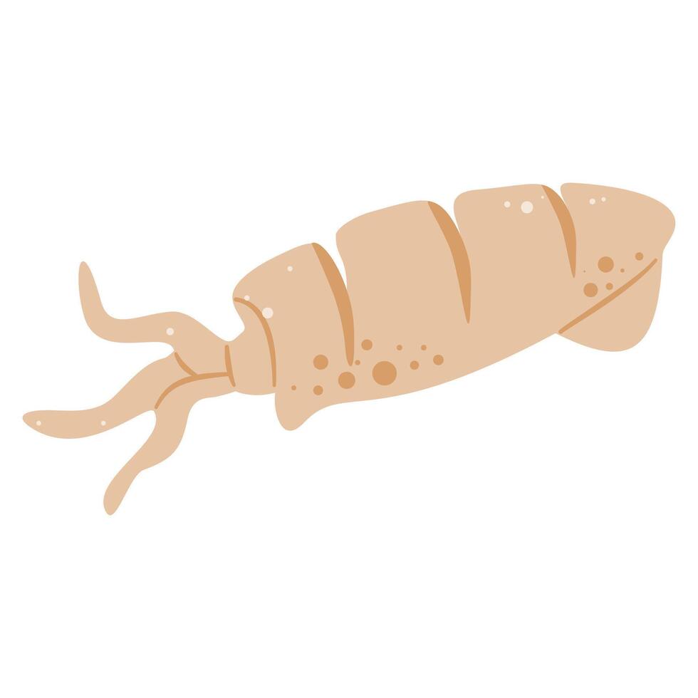 Simple illustration of a cooked squid, ideal for seafood and culinary themes. vector