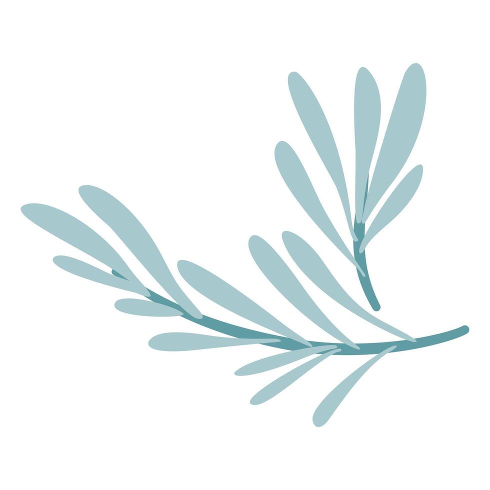 fresh rosemary sprigs, perfect for cooking, herbs, and natural themes. vector