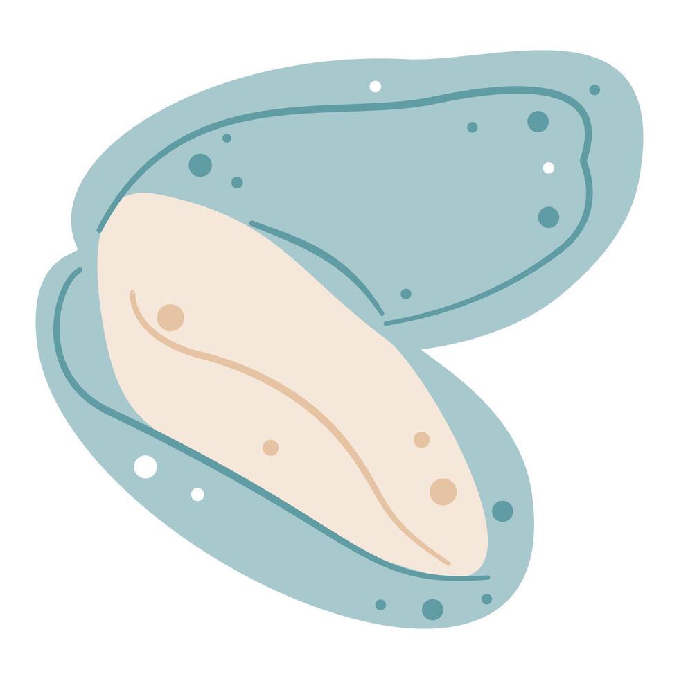 Simple illustration of an open blue mussel, perfect for seafood, food, and ocean themes. vector