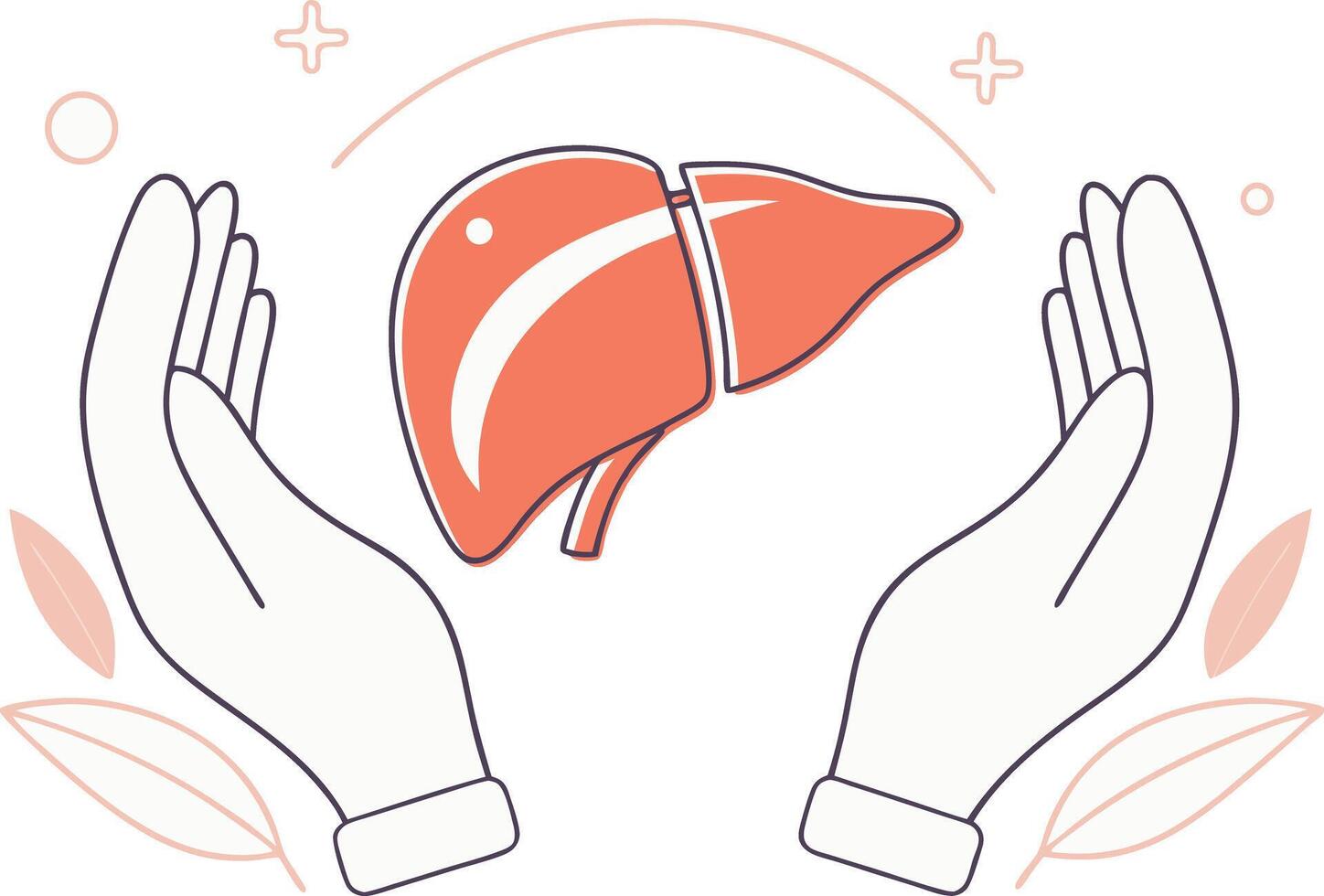 Hands holding a liver with a heart around it vector