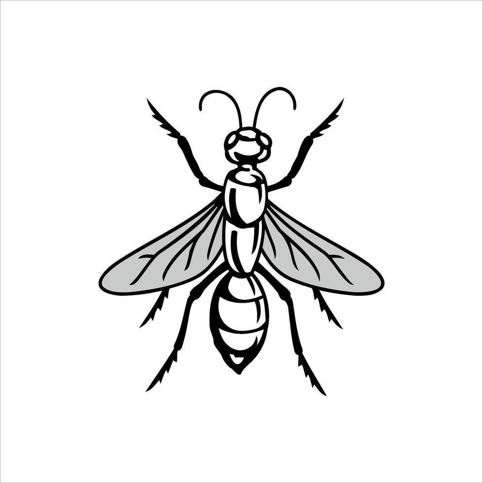 illustration of a large fly perched on a surface with a white background vector