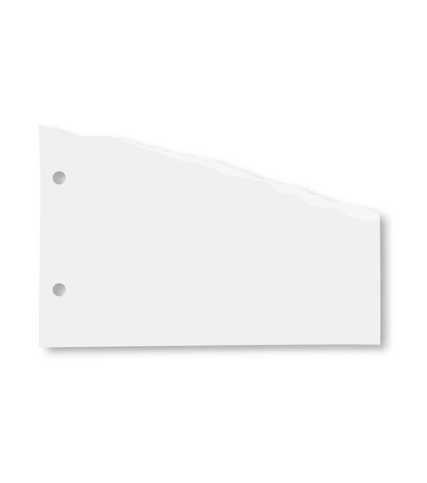 Blank white sheet of paper featuring a torn edge and holes, casting shadows on a white background, offering ample copy space for text or design elements vector