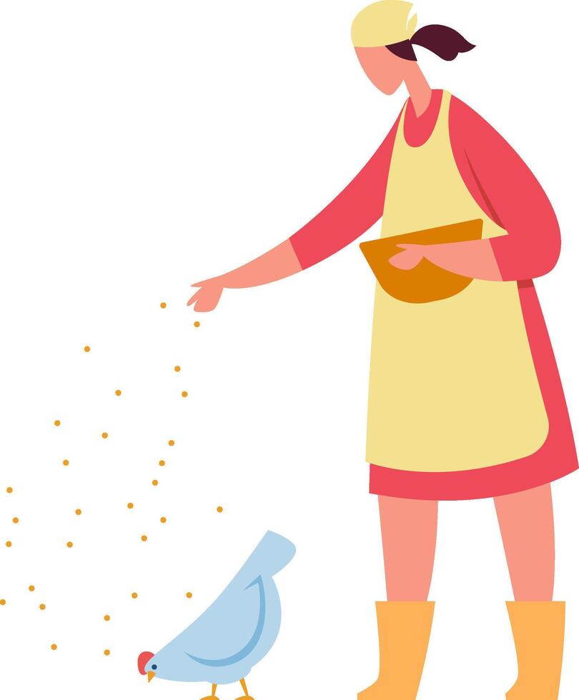 Female farmer in apron and rubber boots feeding hens seeds on a poultry farm, nurturing domestic birds and ensuring balanced nutrition for livestock vector