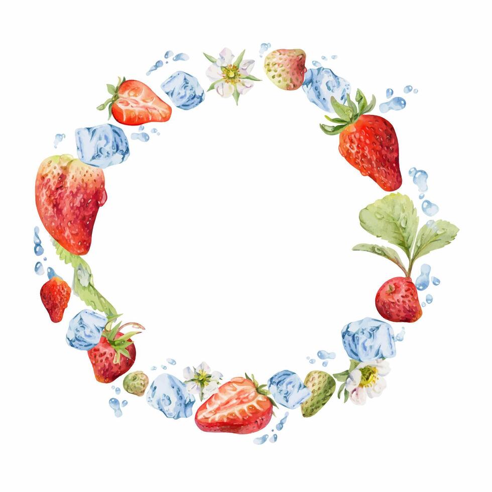 Watercolor illustration of strawberries vector