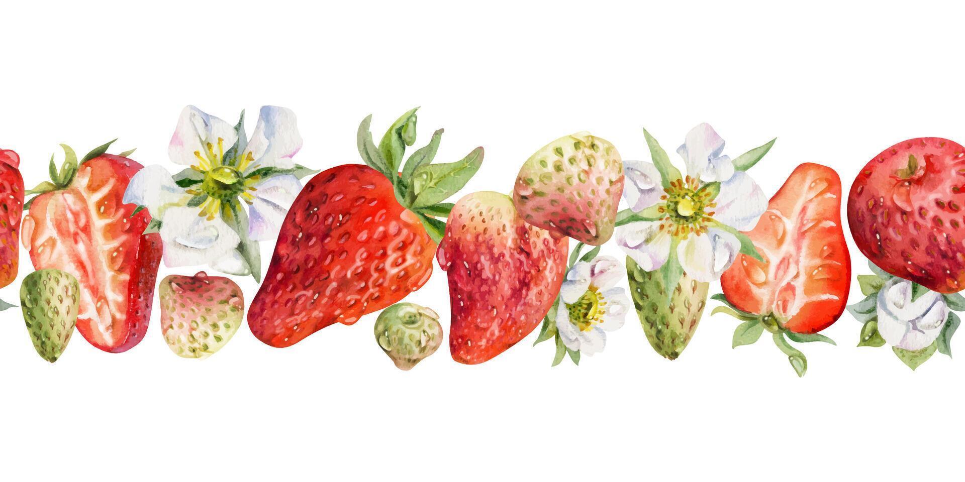 Watercolor strawberries with flowers illustration vector