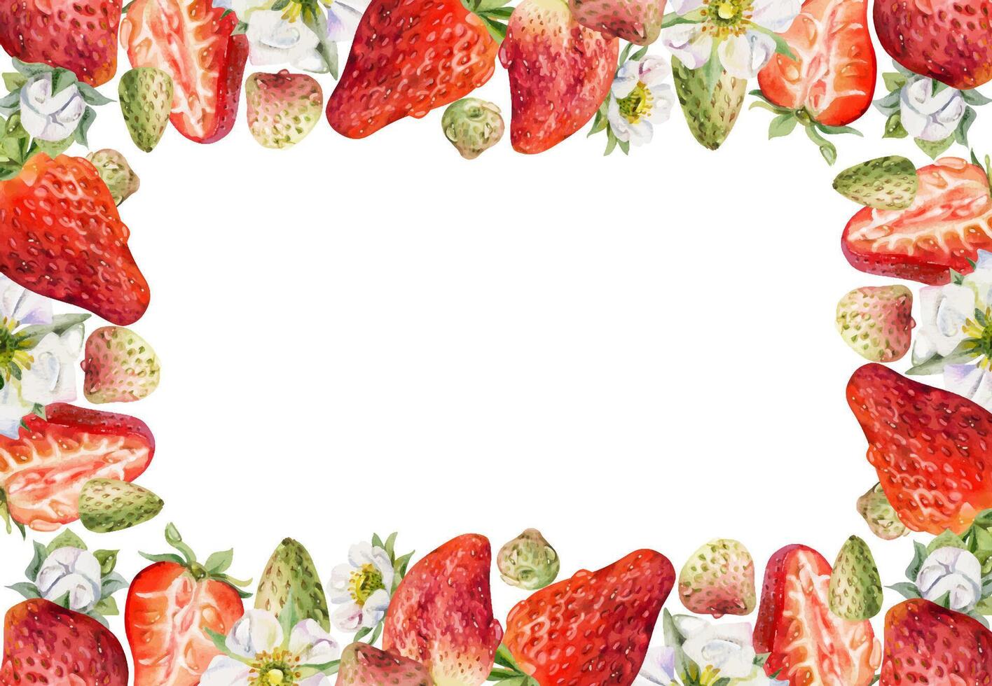 Strawberry frame with flowers and fruits vector