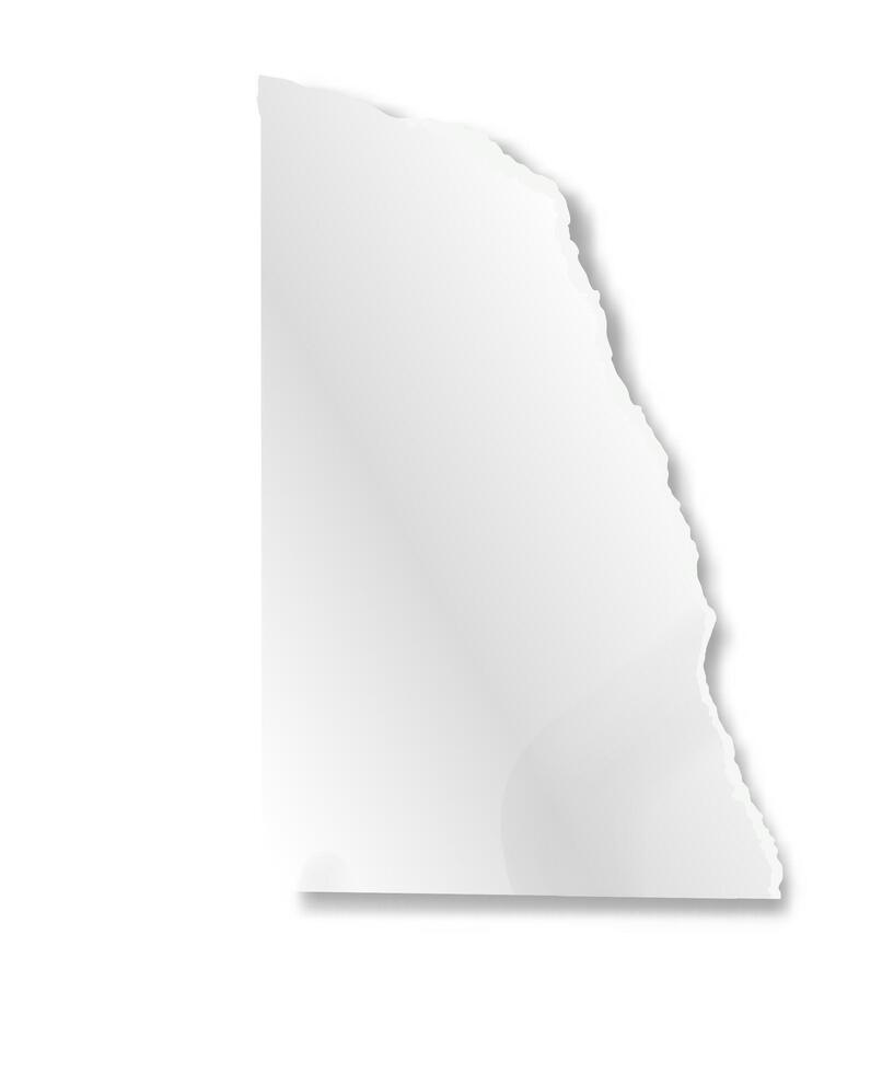 Vertical blank piece of ripped white paper with rough edges casting a shadow on a plain white background, providing copy space for text or design elements vector