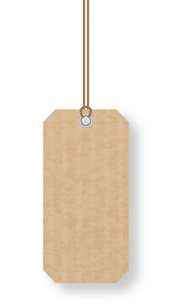 Blank hanging cardboard tag with string and eyelet is swinging on white background, eco friendly recycled material, ready for your text or graphics vector