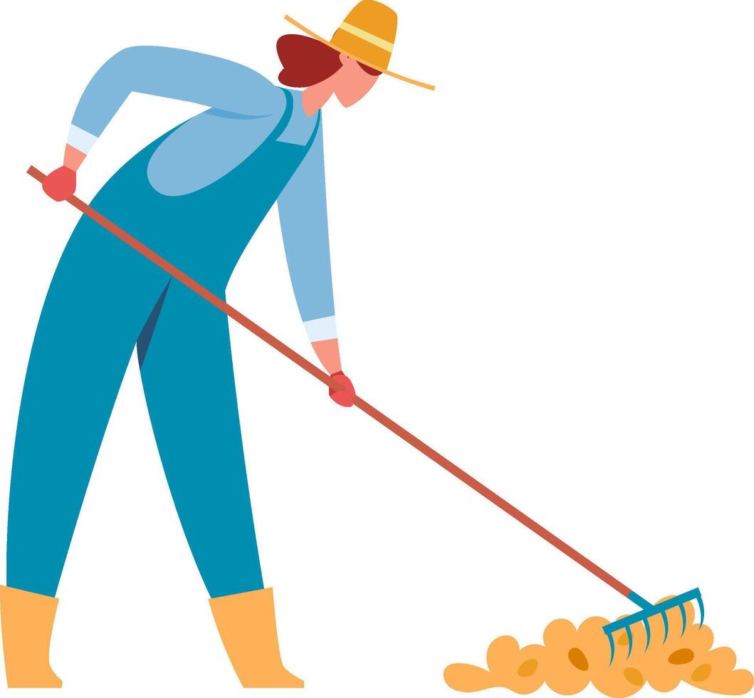 Farmer in blue overalls and a straw hat raking freshly harvested potatoes into a neat pile, working diligently on the sunny autumn day in the countryside field vector