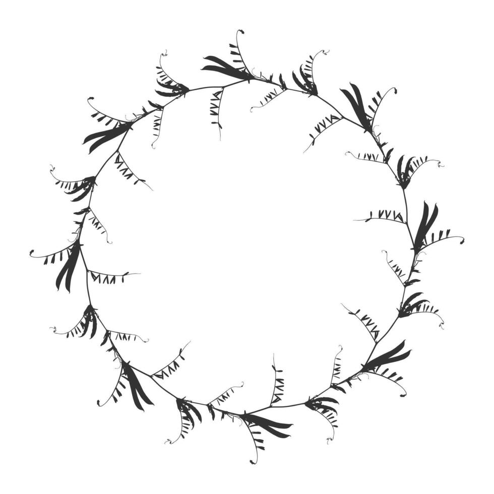 Wreath of meadow grass branches - Mouse pea or lat.Vicia cracca. Dark round silhouette on white background. vector