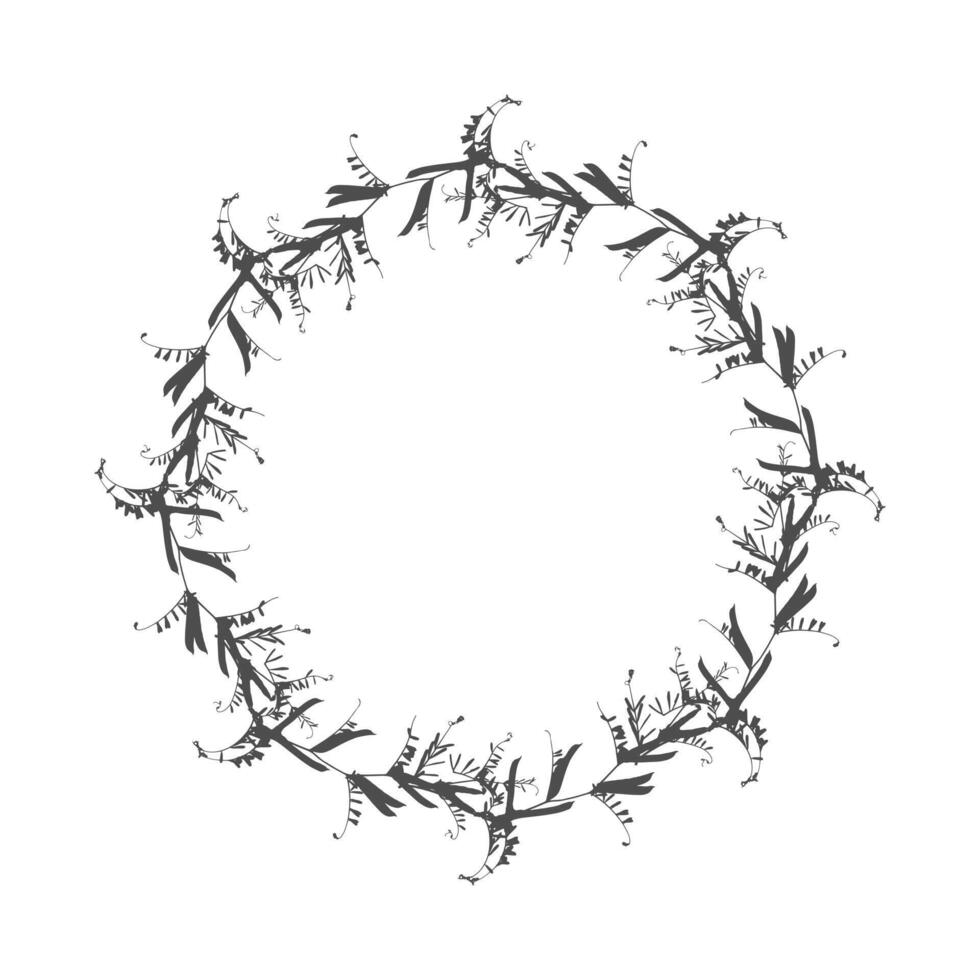 Herbal wreath of meadow grass branches - Mouse pea or lat.Vicia cracca. Dark round silhouette on white background. vector