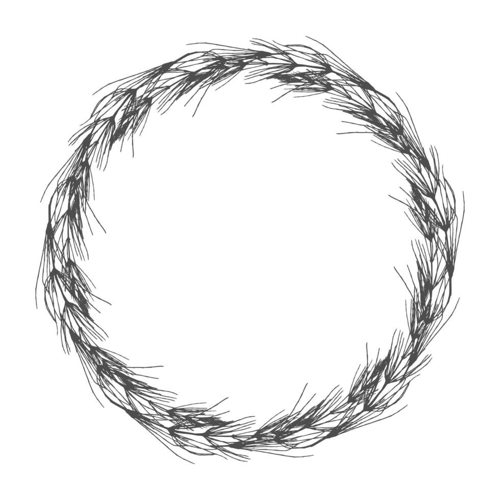 Wreath field Horsetail Equisetum arvense on white background. vector
