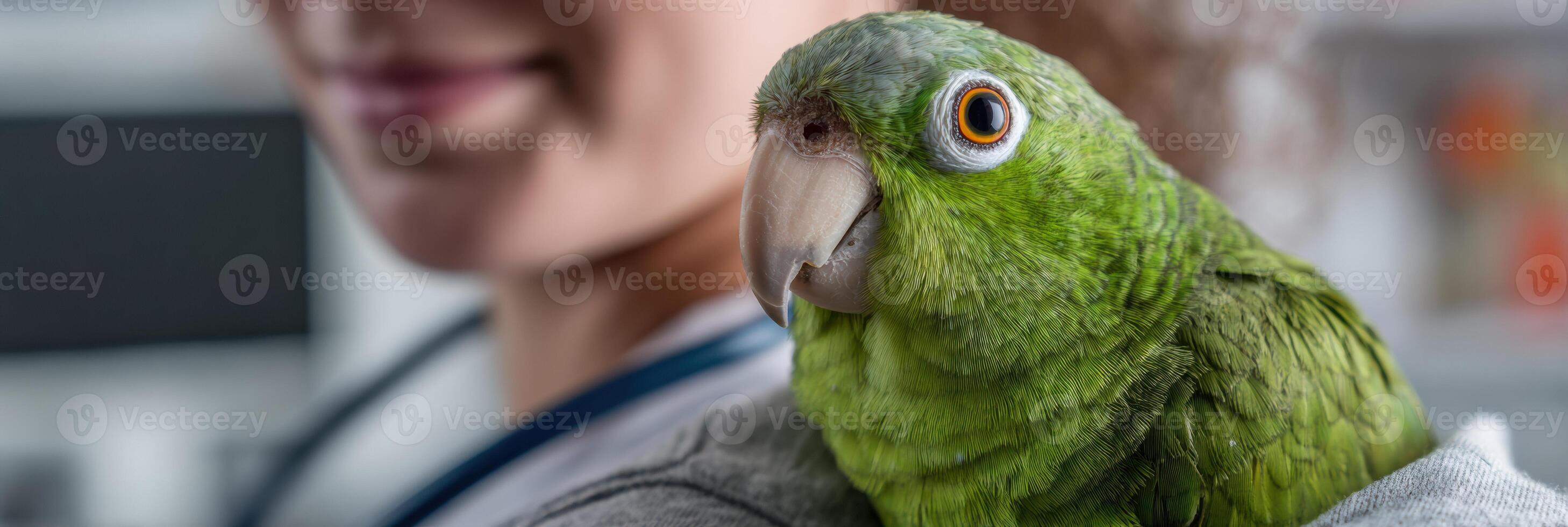 Calm Parrot Rests on Veterinarians Shoulder During Consultation in Cozy, Natural Light Setting photo