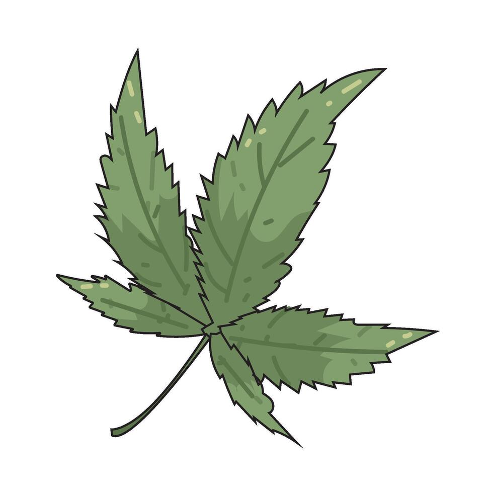 marijuana leaf illustration vector