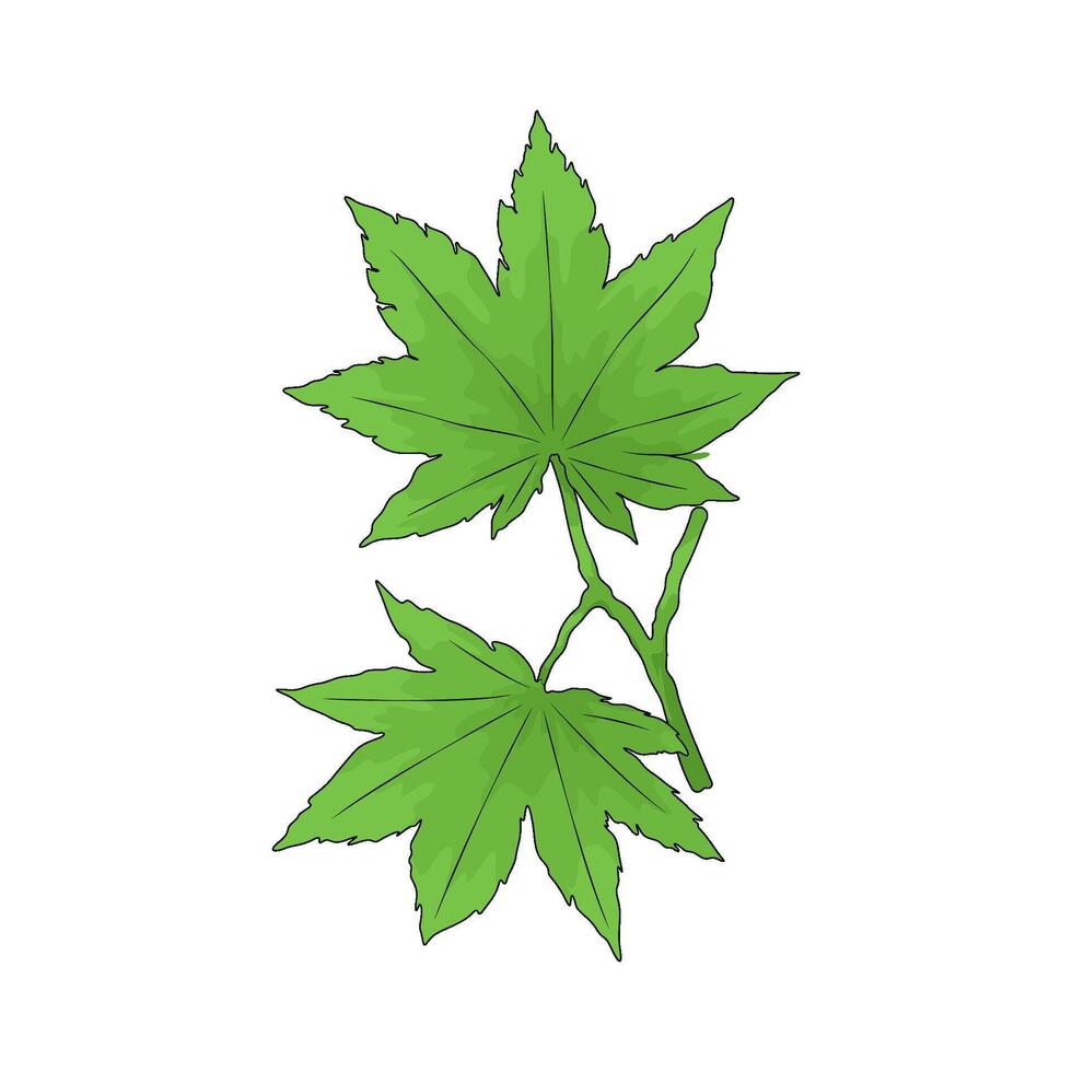 Green marijuana leaf vector