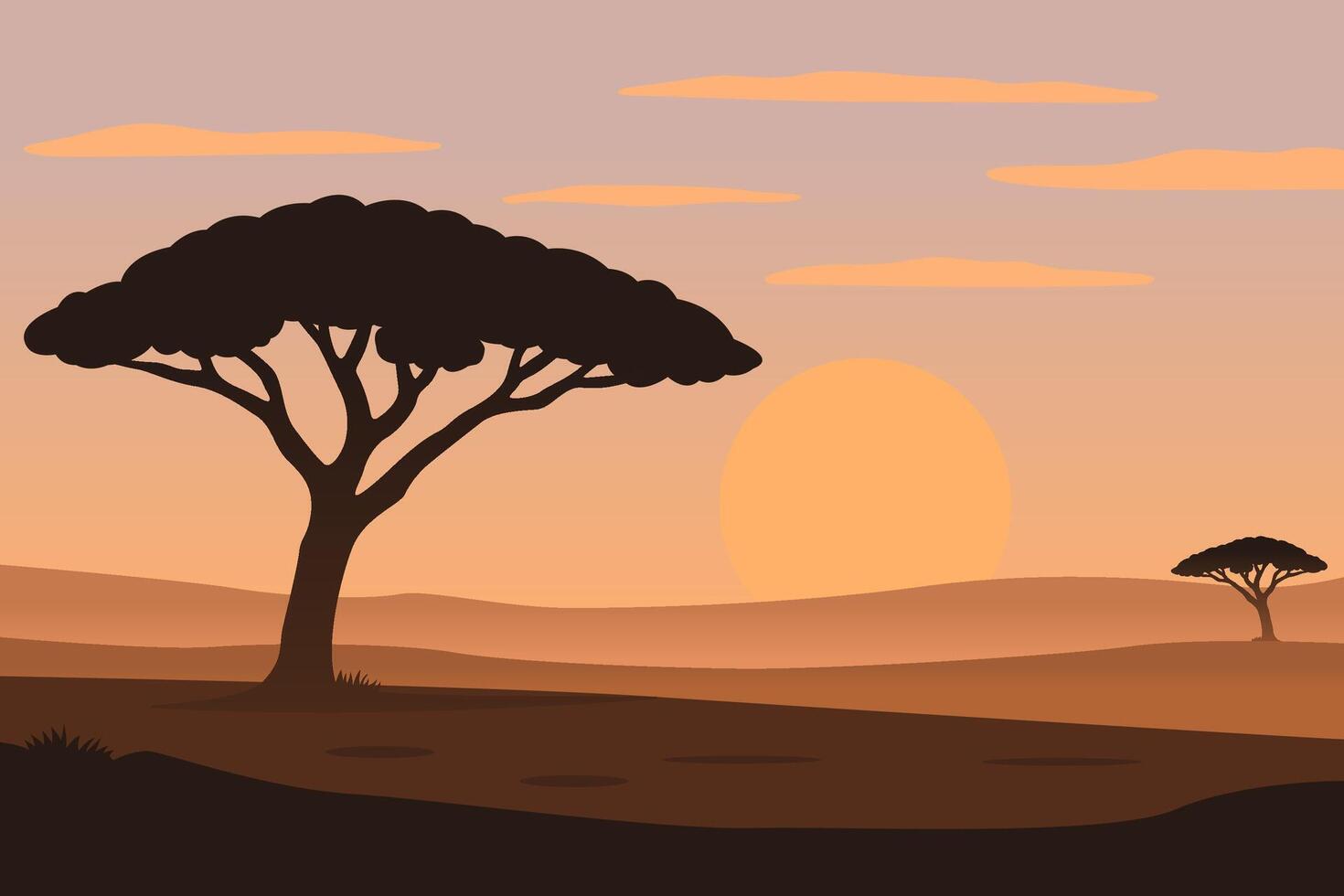 Silhouette of Acacia Trees Against a Sunset in a Desert Landscape vector