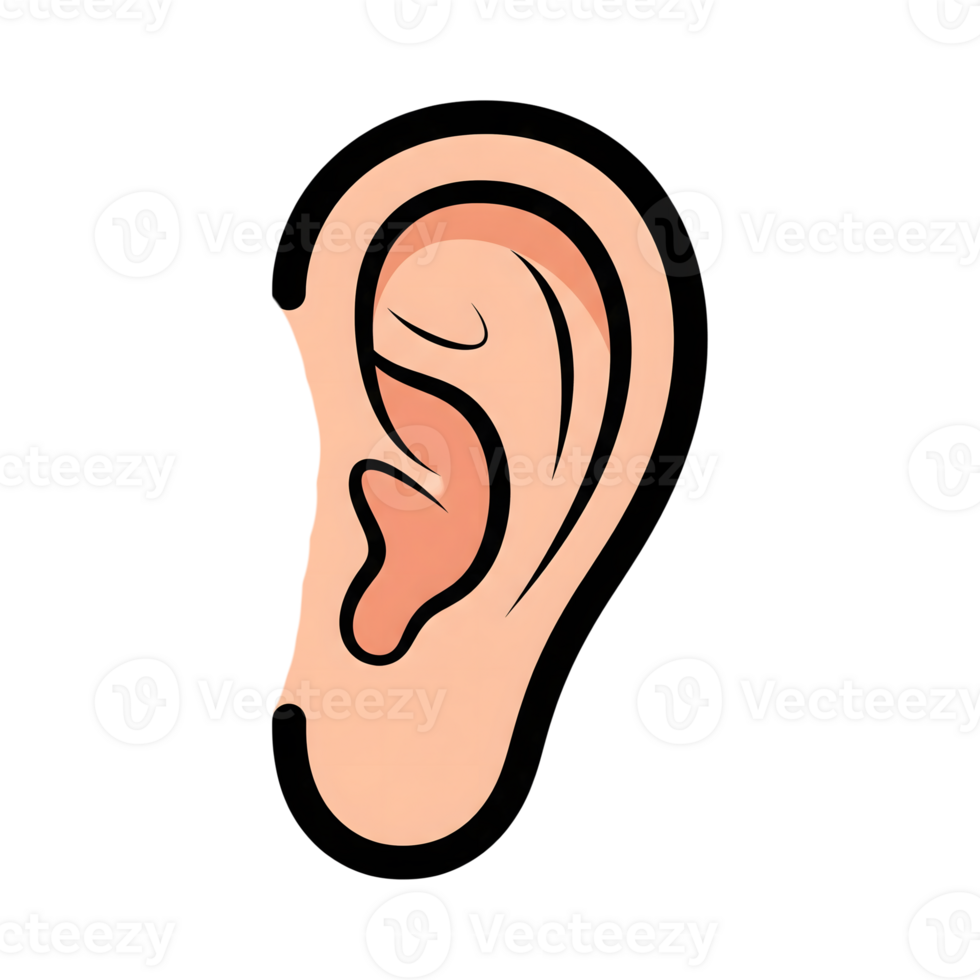 Cartoon Human Ear Side View Peach Skin Tone Black Outline Icon isolated on a transparent background png
