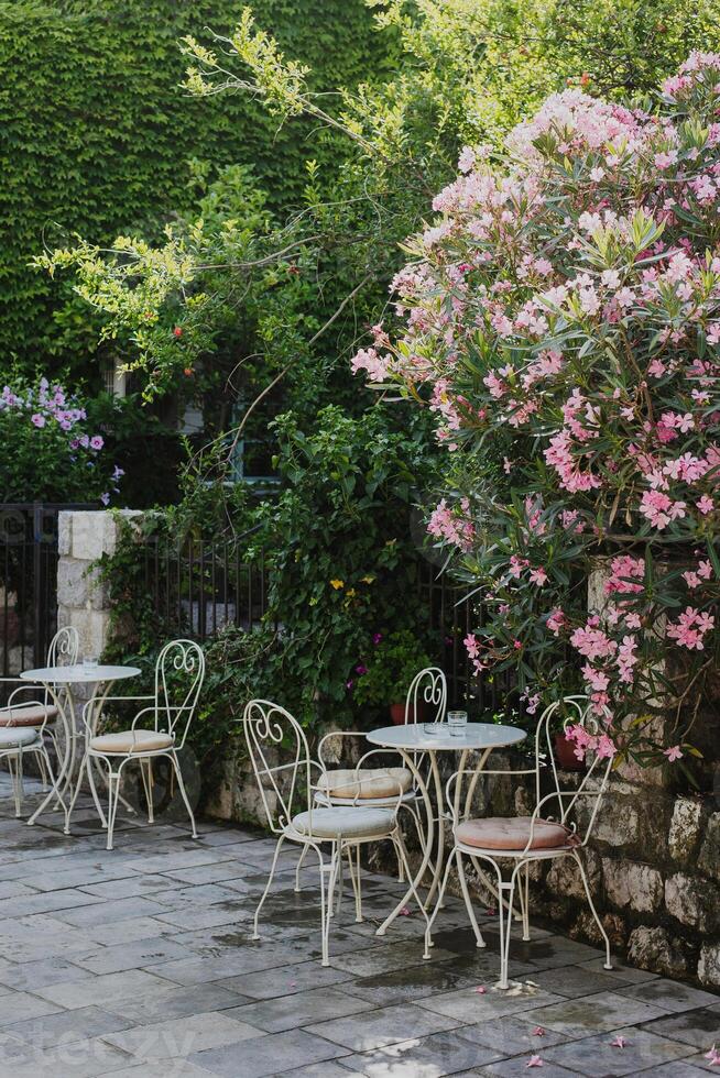 Empty pretty cafe by the sea in Przno near Budva, Montenegro. Travel destination in Montenegro. photo