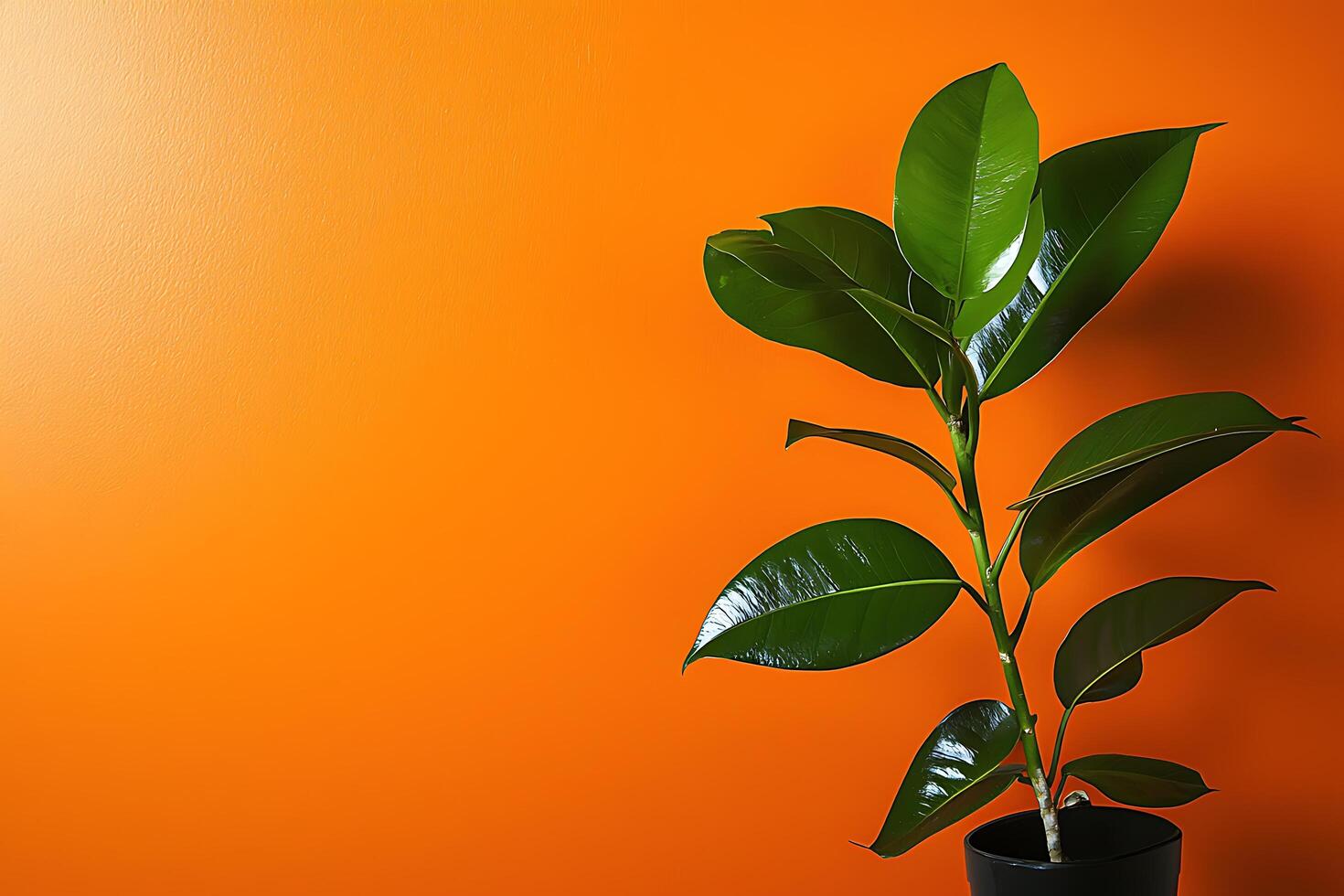 Vibrant Green Plant Against a Bold Orange Background. A striking image showcasing the contrast between lush foliage and a bright, saturated backdrop. photo