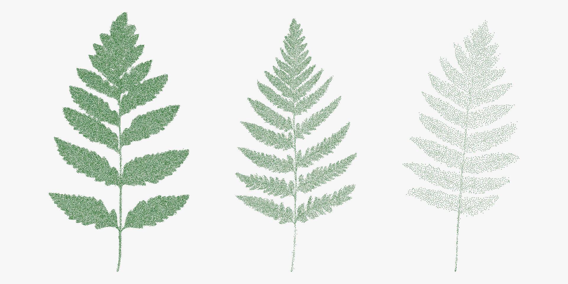 Three green fern leaves. Monochrome retro sketch with stipple ink texture and rough photocopy grain. Threshold and gritty halftone dots. vector