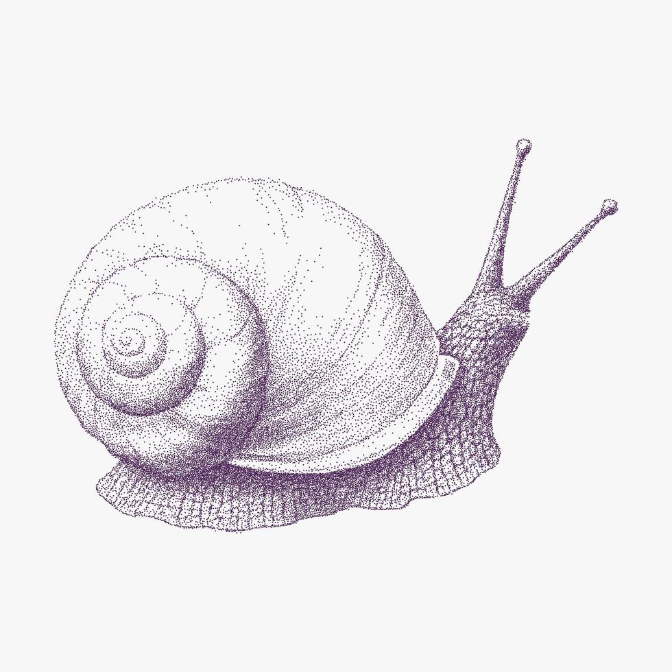Small purple snail with a pointed shell. Retro stipple line art, gritty halftone dot texture and photocopy threshold effect, vintage xerox mood. vector