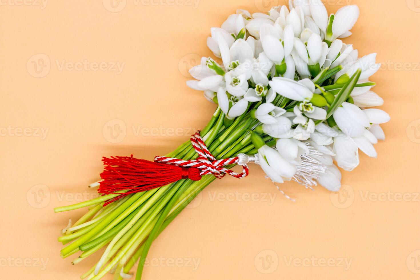 spring flowers snowdrop and handcraft wool bracelet martenitsa symbol of Baba Marta photo