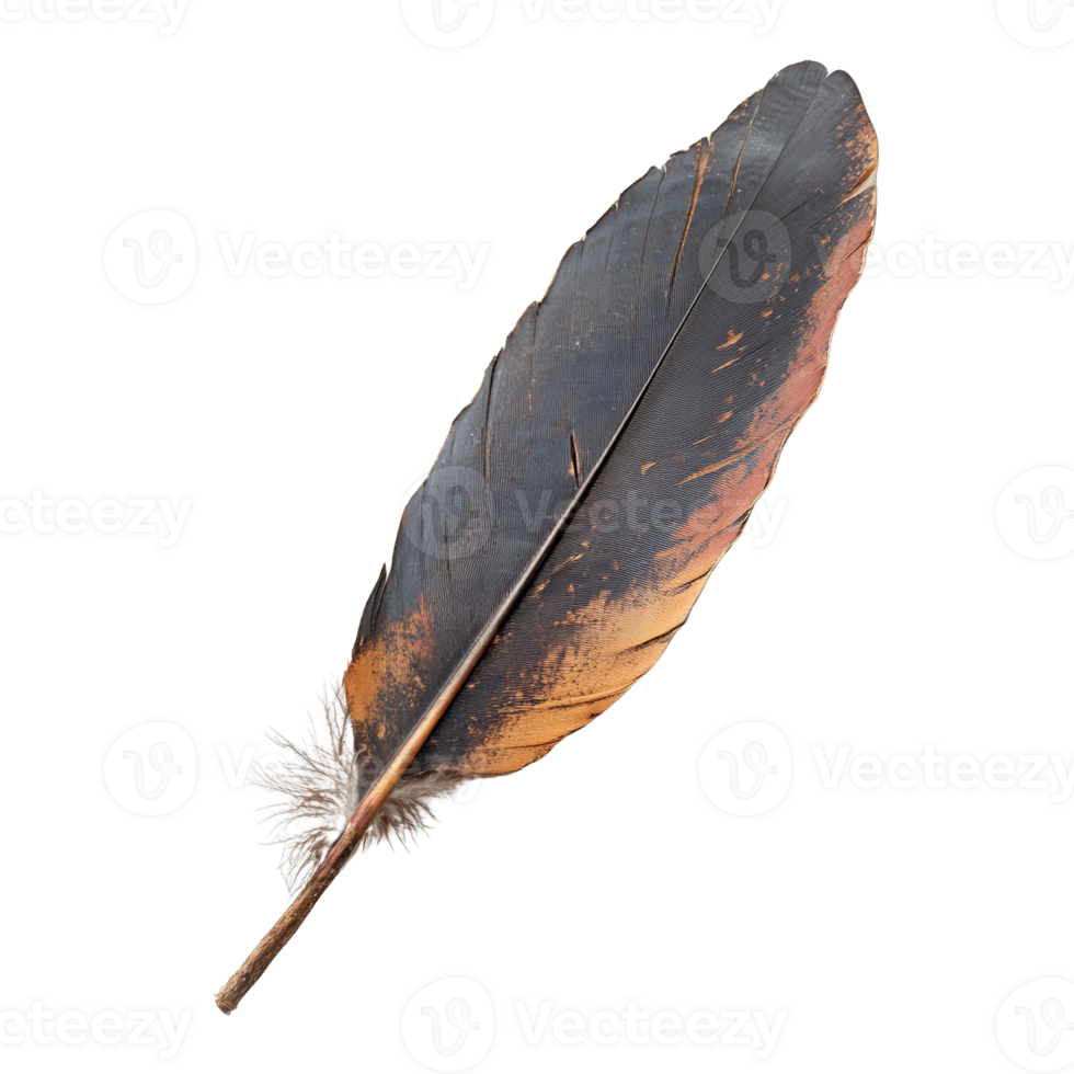 Traditional Wedding Feather Isolated on Transparent Background png