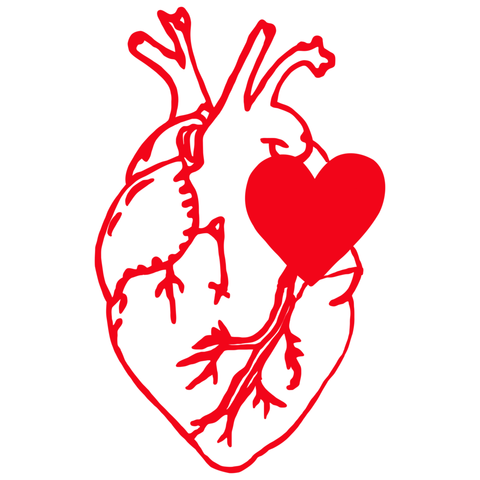 Heart love illustration png