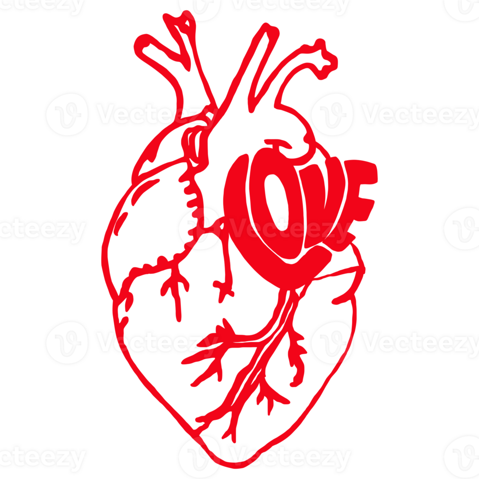 a heart with the word love in red on a transparent background png