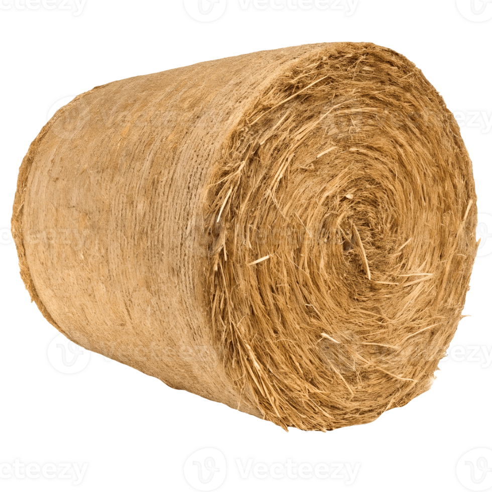 Golden Hay Bale Roll Isolated , Rural Agriculture, Farm Fresh, Natural Texture, Livestock Feed, Rustic Charm Transparent Background png