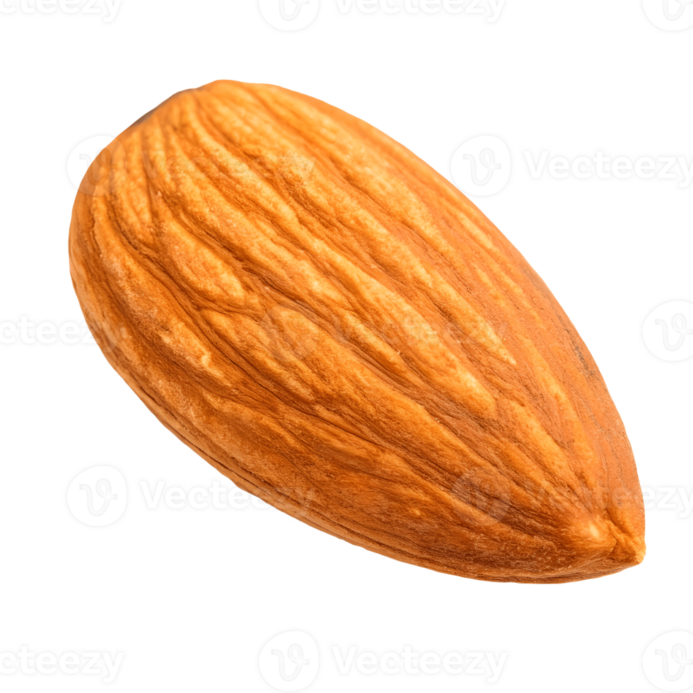 Close up of Single Brown Almond Nut Healthy Eating, Snack, and Ingredient Transparent Background png