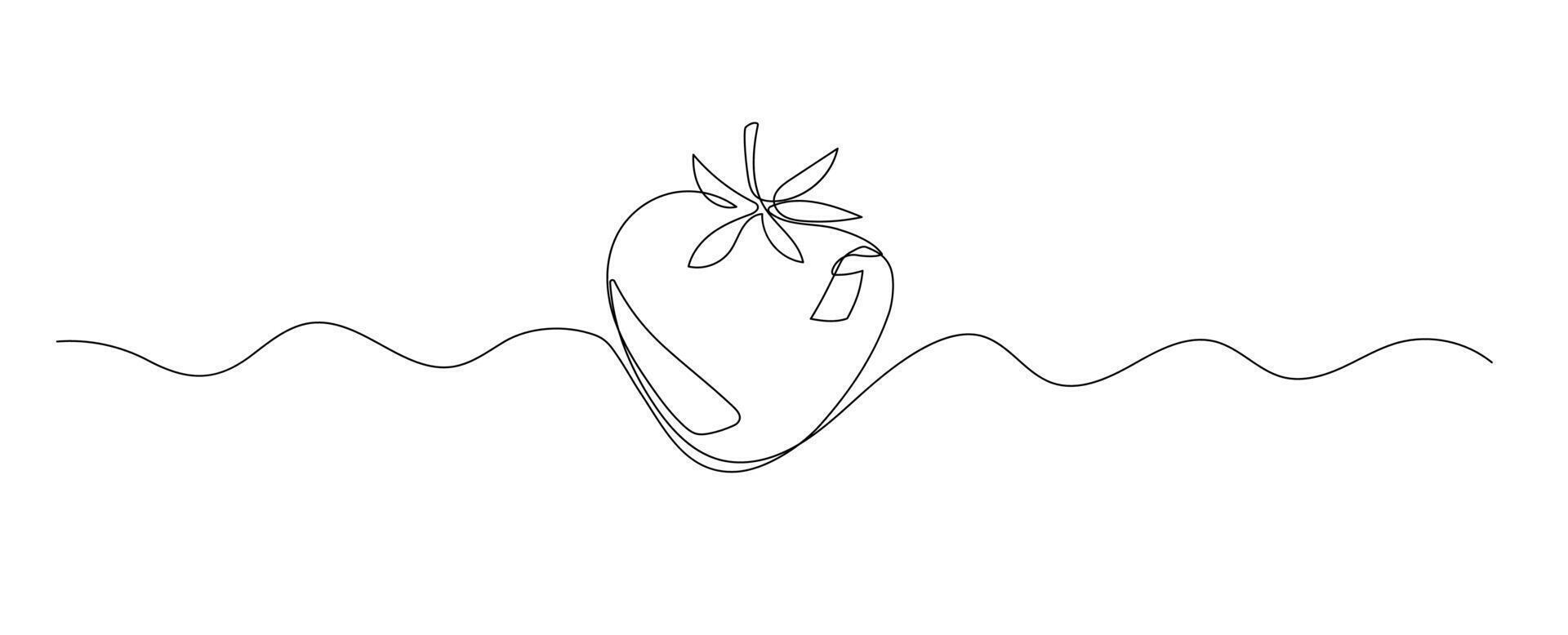 Strawberry one line illustration, continuous line isolated sketch vector