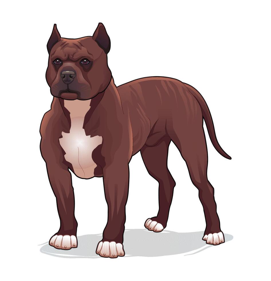 Brown dog illustration, strong and loyal vector