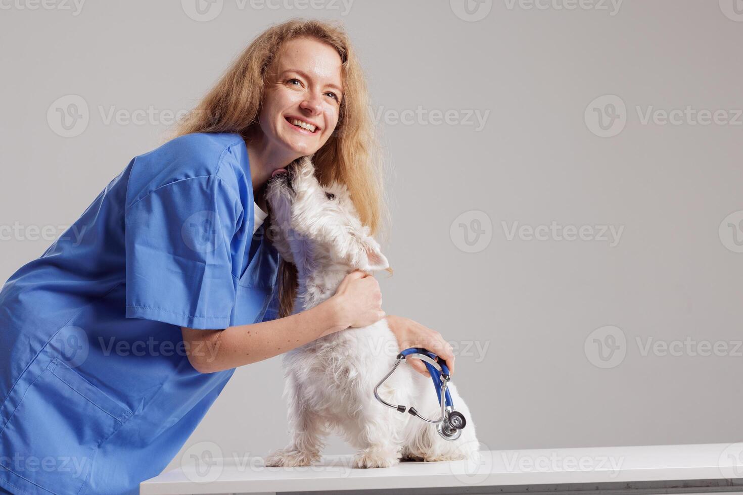 Happy Veterinarian Hugging Dog During Health Checkup in Clinic, Pet Care and Medical Treatment photo