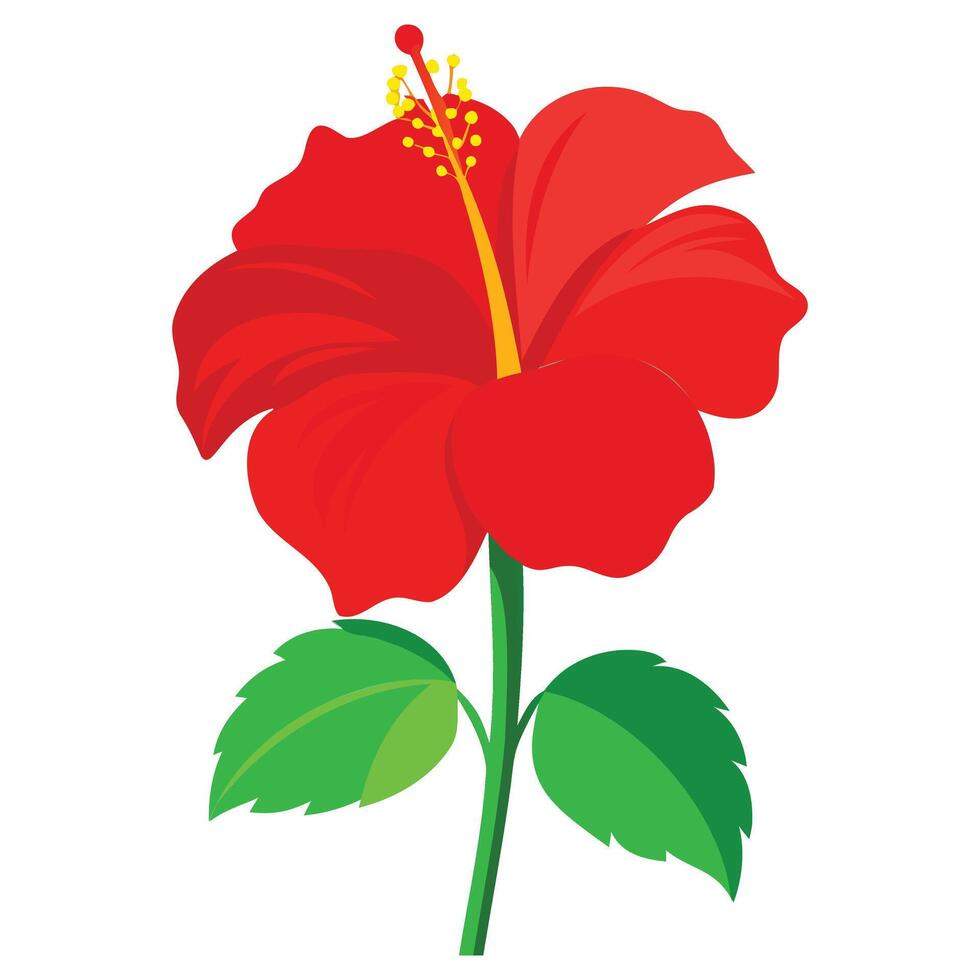 Hawaiian Bloom Vectors Designs