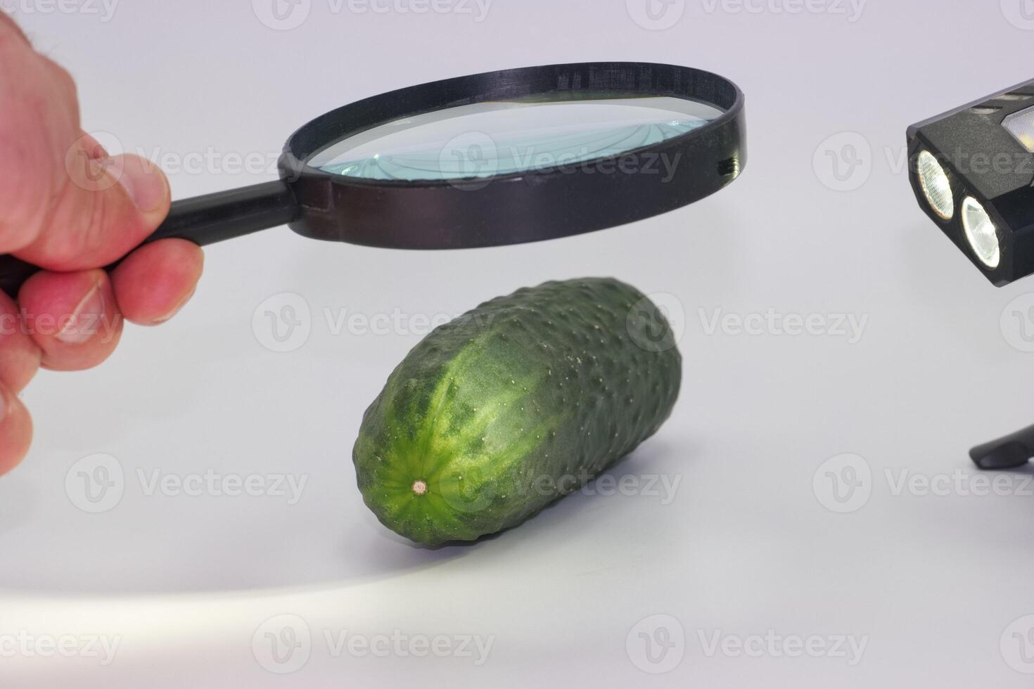Exploring the details of a cucumber with a magnifying glass and a flashlight in a bright setting photo