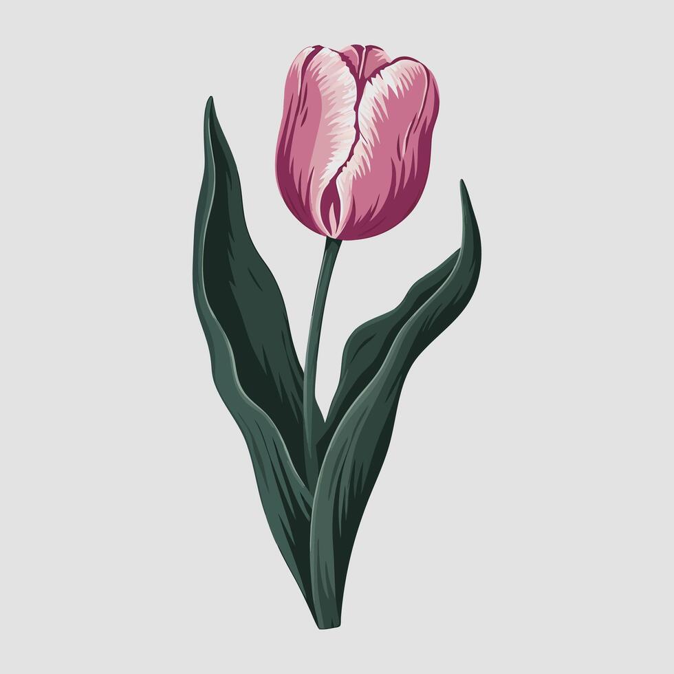 Pink Tulip Flower Illustration, Elegant Floral Clipart vector