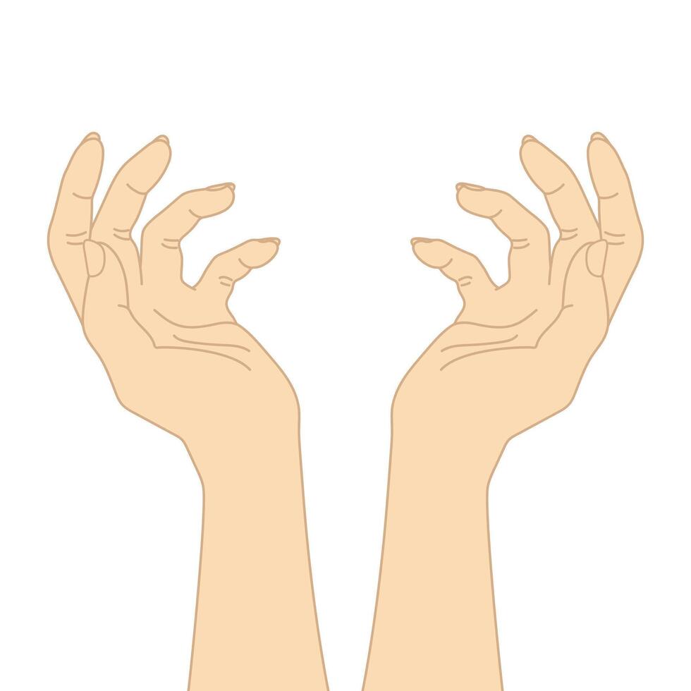 Hands raised reaching to the sky. Outstretched hands isolated on white background vector