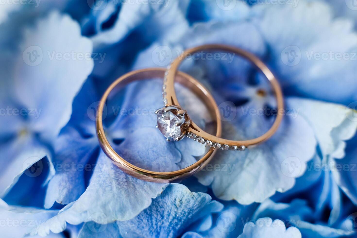 Elegant rings displayed on soft blue hydrangea petals for a romantic atmosphere photo